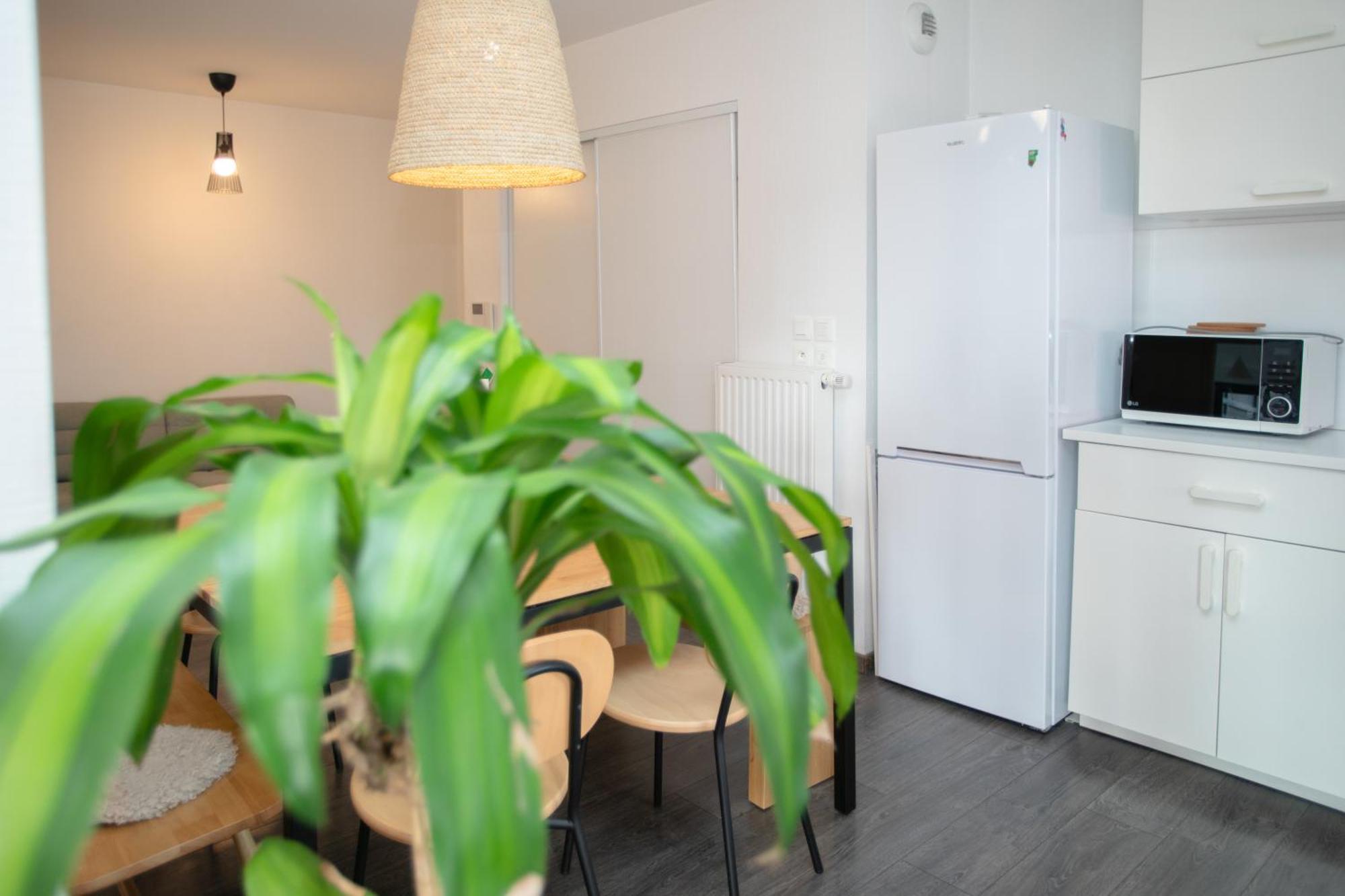 Appartement Moderne Au Centre Ville Страсбург Екстериор снимка